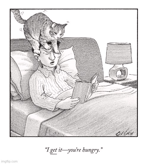 A subtle hint… | image tagged in cats,hungry,i get it,comics/cartoons,harry bliss | made w/ Imgflip meme maker