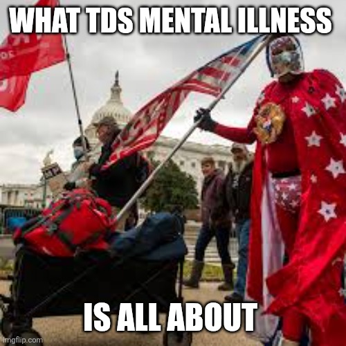 WHAT TDS MENTAL ILLNESS IS ALL ABOUT | made w/ Imgflip meme maker