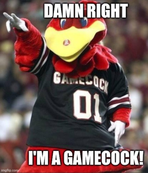 Gamecocks | image tagged in memes | made w/ Imgflip meme maker