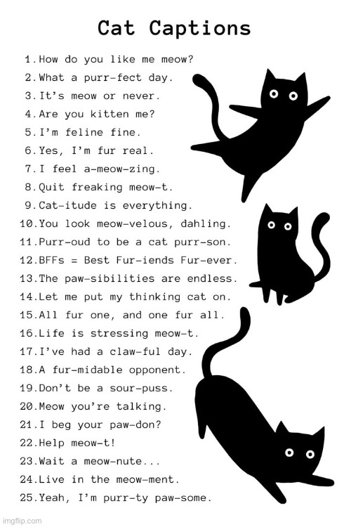 Purr-fect puns… | image tagged in cats,captions,list | made w/ Imgflip meme maker
