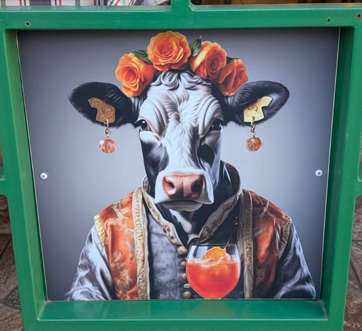 Cow aperol Blank Meme Template