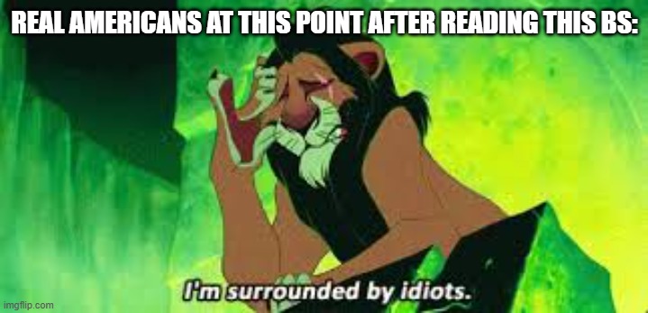 i'm surrounded by idiots | REAL AMERICANS AT THIS POINT AFTER READING THIS BS: | image tagged in i'm surrounded by idiots | made w/ Imgflip meme maker