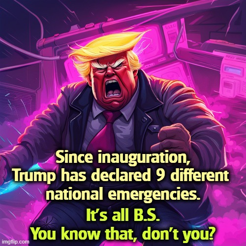 Since inauguration, Trump has declared 9 different 
national emergencies. It's all B.S.
You know that, don't you? | image tagged in trump,emergency,fake news,fascist,dictator,wannabe | made w/ Imgflip meme maker