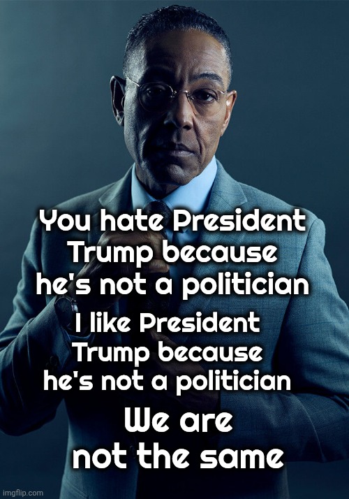 Gus Fring we are not the same | You hate President Trump because he's not a politician I like President Trump because he's not a politician We are not the same | image tagged in gus fring we are not the same | made w/ Imgflip meme maker