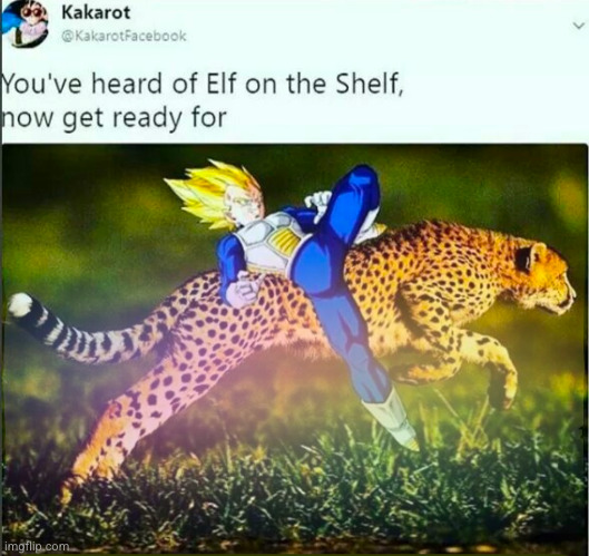 image tagged in vegeta,cheeta,funny,anime,dragon ball z,dragon ball | made w/ Imgflip meme maker