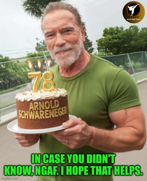 Funny | IN CASE YOU DIDN'T KNOW, NGAF. I HOPE THAT HELPS. | image tagged in funny,arnold schwarzenegger,birthday cake,birthday,nobody cares,just a joke | made w/ Imgflip meme maker