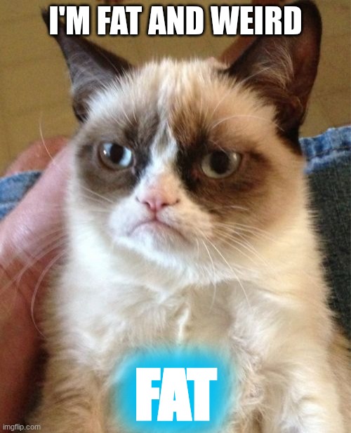 Grumpy Cat | I'M FAT AND WEIRD; FAT | image tagged in memes,grumpy cat | made w/ Imgflip meme maker