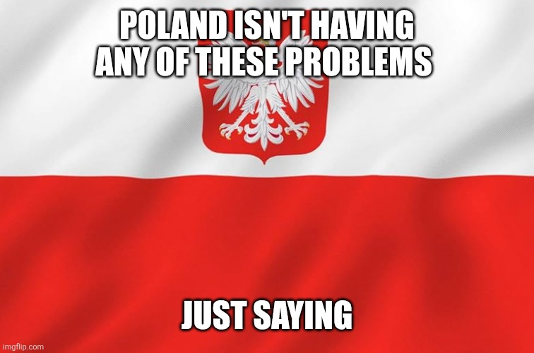 POLAND ISN'T HAVING ANY OF THESE PROBLEMS; JUST SAYING | image tagged in funny memes | made w/ Imgflip meme maker