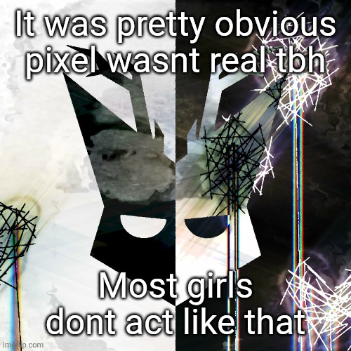 The Mind Electric - travis xsdhgif | It was pretty obvious pixel wasnt real tbh; Most girls dont act like that | image tagged in the mind electric - travis xsdhgif | made w/ Imgflip meme maker