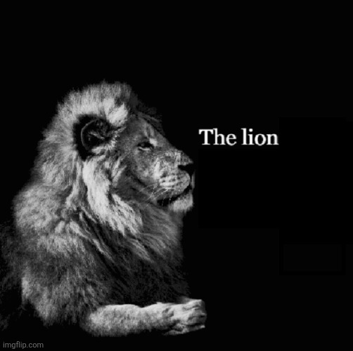 The lion tiktok template | image tagged in the lion tiktok template | made w/ Imgflip meme maker