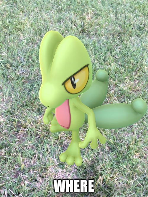 Just Showed Up | WHERE | image tagged in just showed up,pokemon | made w/ Imgflip meme maker