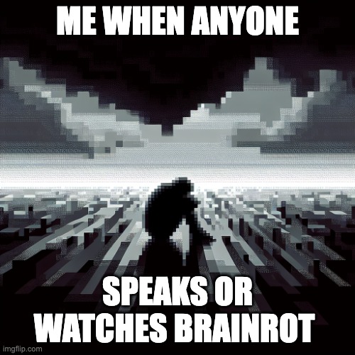 what has the world become | ME WHEN ANYONE; SPEAKS OR WATCHES BRAINROT | image tagged in depression | made w/ Imgflip meme maker