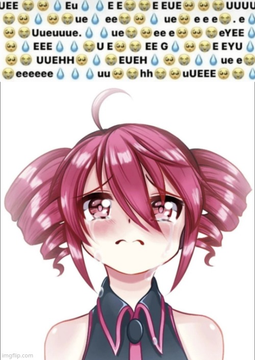 image tagged in ueeeuee e eueuuuue ue eeue,crying teto | made w/ Imgflip meme maker