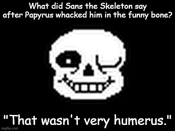 Sans The Memy Skeleton | What did Sans the Skeleton say after Papyrus whacked him in the funny bone? "That wasn't very humerus." | image tagged in sans the memy skeleton | made w/ Imgflip meme maker