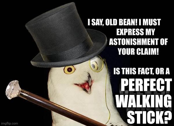 Clever Ruse | PERFECT
WALKING
STICK? | image tagged in clever ruse | made w/ Imgflip meme maker