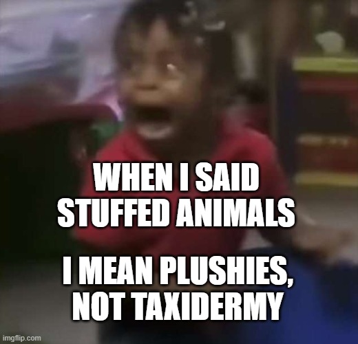 ewwwww dead animals | WHEN I SAID STUFFED ANIMALS; I MEAN PLUSHIES, NOT TAXIDERMY | image tagged in black kid screaming,childhood ruined,dark humor | made w/ Imgflip meme maker
