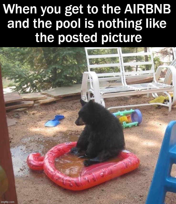 When it is nothing like it was pictured | When you get to the AIRBNB 
and the pool is nothing like 
the posted picture | image tagged in airbnb,rental,pool | made w/ Imgflip meme maker