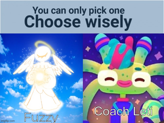 Choose one (My comfort edition) | Fuzzy; Coach Leti | image tagged in you can pick only one choose wisely | made w/ Imgflip meme maker