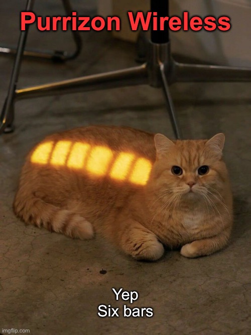 Time to download some kitteh videos. | Purrizon Wireless; Yep
Six bars | image tagged in funny cat memes | made w/ Imgflip meme maker