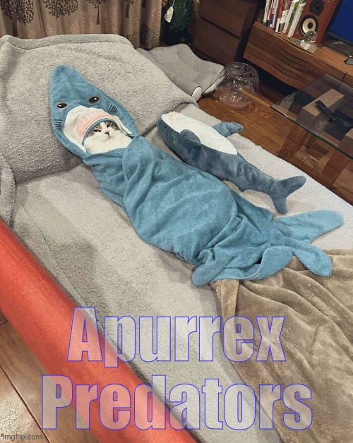Just when you thought it was safe to get back on the sofa. | Apurrex
Predators | image tagged in funny cat memes | made w/ Imgflip meme maker