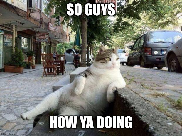 :> | SO GUYS; HOW YA DOING | image tagged in cat relax | made w/ Imgflip meme maker