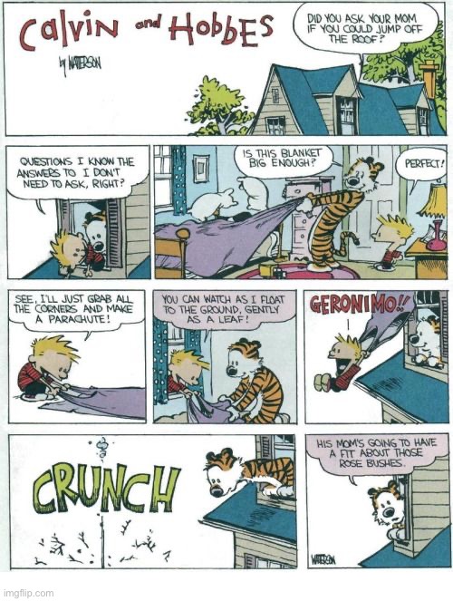Ahh, youthful exuberance! | image tagged in calvin and hobbes,comics,blanket,jump off roof,parachute,risk taker | made w/ Imgflip meme maker