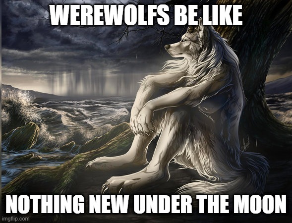 melancholic werewolf | WEREWOLFS BE LIKE; NOTHING NEW UNDER THE MOON | image tagged in melancholic werewolf | made w/ Imgflip meme maker