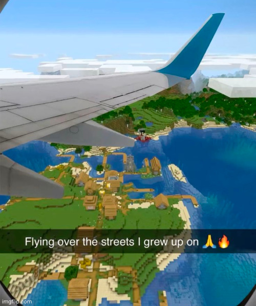 not a burning heap of coal | image tagged in minecraft,airplane,memes,nostalgic | made w/ Imgflip meme maker