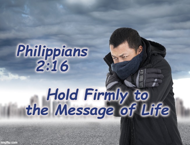 Philippians 2:16 - Photo credit = ID 36567607 © Tom Wang | Dreamstime.com | Philippians 2:16; Hold Firmly to the Message of Life | image tagged in hold,hold close,hold firmly,wrap yourself | made w/ Imgflip meme maker