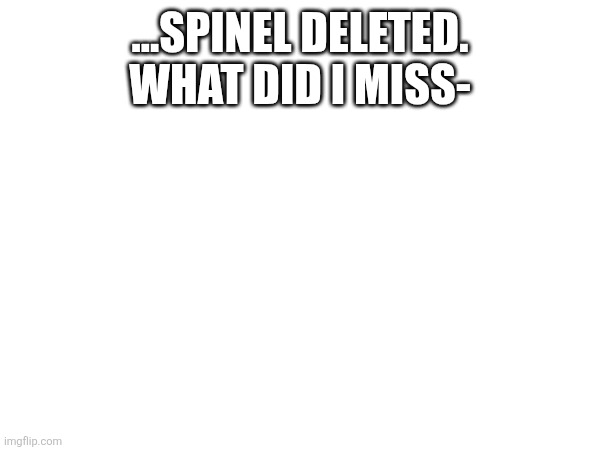 ...SPINEL DELETED. WHAT DID I MISS- | made w/ Imgflip meme maker