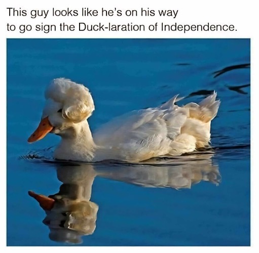 image tagged in funny memes,dad jokes | made w/ Imgflip meme maker