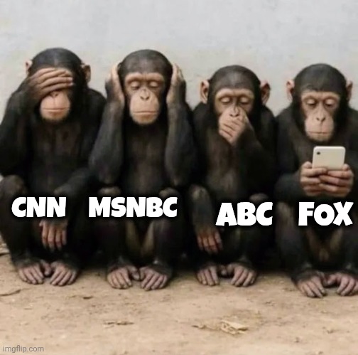 CNN    MSNBC ABC    FOX | made w/ Imgflip meme maker