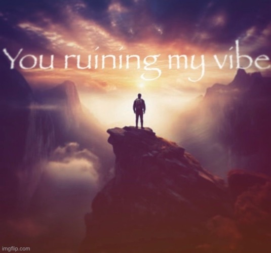 you ruining my vibe | image tagged in you ruining my vibe | made w/ Imgflip meme maker