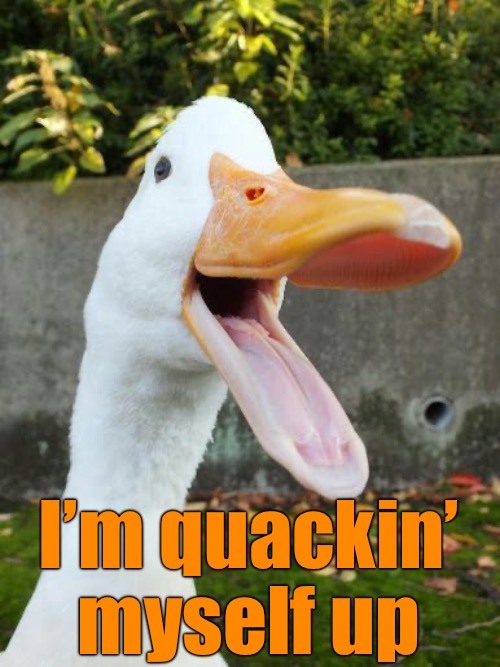 I’m quackin’ myself up | made w/ Imgflip meme maker