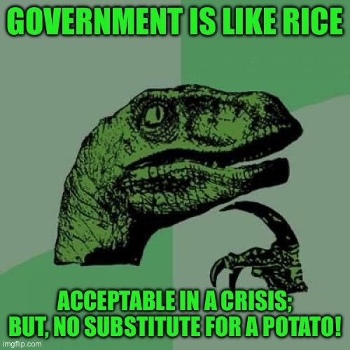 Philosoraptor | GOVERNMENT IS LIKE RICE; ACCEPTABLE IN A CRISIS; BUT, NO SUBSTITUTE FOR A POTATO! | image tagged in memes,philosoraptor | made w/ Imgflip meme maker