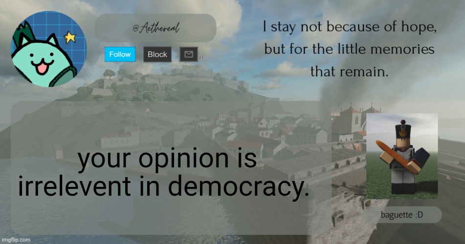 hey. | your opinion is irrelevent in democracy. | image tagged in hello | made w/ Imgflip meme maker