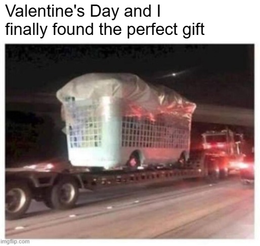 Valentine's Day and I finally found the perfect gift | image tagged in funny,valentines day | made w/ Imgflip meme maker