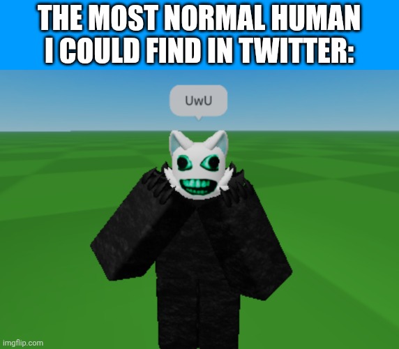 Purrsuer | THE MOST NORMAL HUMAN I COULD FIND IN TWITTER: | image tagged in purrsuer | made w/ Imgflip meme maker