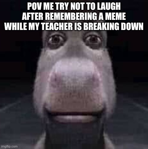 … | POV ME TRY NOT TO LAUGH AFTER REMEMBERING A MEME WHILE MY TEACHER IS BREAKING DOWN | image tagged in donkey staring | made w/ Imgflip meme maker