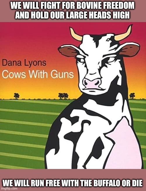 Cows with guns | WE WILL FIGHT FOR BOVINE FREEDOM
AND HOLD OUR LARGE HEADS HIGH; WE WILL RUN FREE WITH THE BUFFALO OR DIE | image tagged in cows,guns,freedom,born free,music | made w/ Imgflip meme maker
