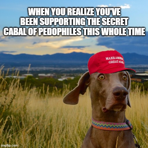 Jesus made me do it! | WHEN YOU REALIZE YOU'VE BEEN SUPPORTING THE SECRET CABAL OF PEDOPHILES THIS WHOLE TIME | image tagged in worried dog,maga,pedos,epstein,files | made w/ Imgflip meme maker