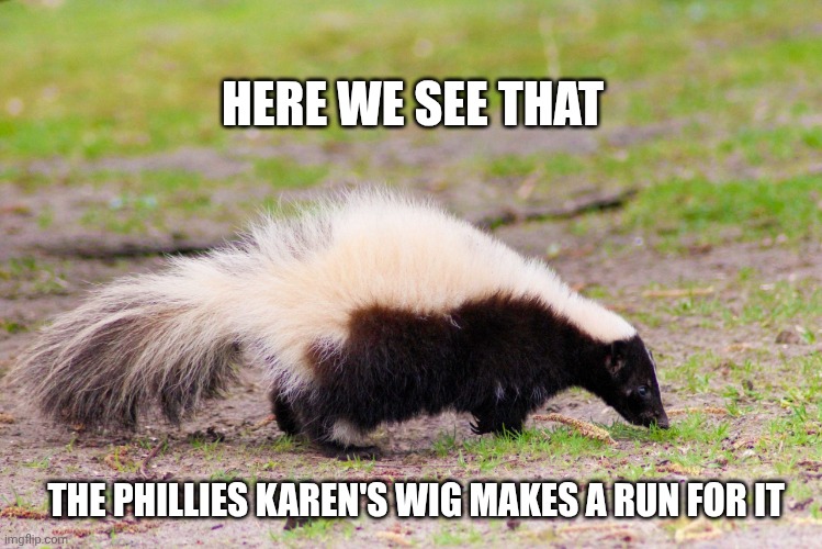 Phillies Karen meme | HERE WE SEE THAT; THE PHILLIES KAREN'S WIG MAKES A RUN FOR IT | image tagged in skunk | made w/ Imgflip meme maker
