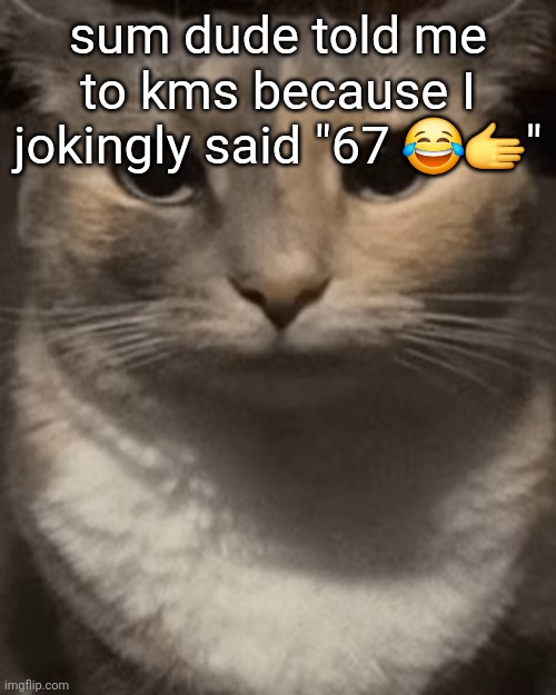 ragebait successful | sum dude told me to kms because I jokingly said "67 😂🫱" | image tagged in brochacho | made w/ Imgflip meme maker