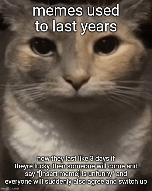 brochacho | memes used to last years; now they last like 3 days if theyre lucky, then someone will come and say "[insert meme] is unfunny" and everyone will suddenly also agree and switch up | image tagged in brochacho | made w/ Imgflip meme maker