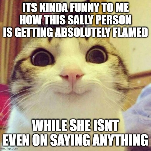 a bad repututation that preceeds her | ITS KINDA FUNNY TO ME HOW THIS SALLY PERSON IS GETTING ABSOLUTELY FLAMED; WHILE SHE ISNT EVEN ON SAYING ANYTHING | image tagged in memes,smiling cat | made w/ Imgflip meme maker