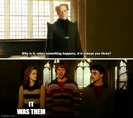 It was them | IT WAS THEM | image tagged in always you three,harry potter,hermione granger | made w/ Imgflip meme maker