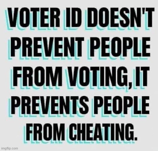 Show me one intelligent person who does not agree with this... | image tagged in voter id,voter fraud,devious democrats,cheaters,cheaters gonna cheat,cheat to win | made w/ Imgflip meme maker