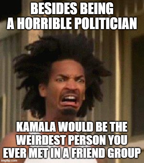 Disgusted Face | BESIDES BEING A HORRIBLE POLITICIAN KAMALA WOULD BE THE WEIRDEST PERSON YOU EVER MET IN A FRIEND GROUP | image tagged in disgusted face | made w/ Imgflip meme maker