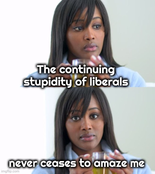 Black Woman Drinking Tea (2 Panels) | The continuing stupidity of liberals never ceases to amaze me | image tagged in black woman drinking tea 2 panels | made w/ Imgflip meme maker