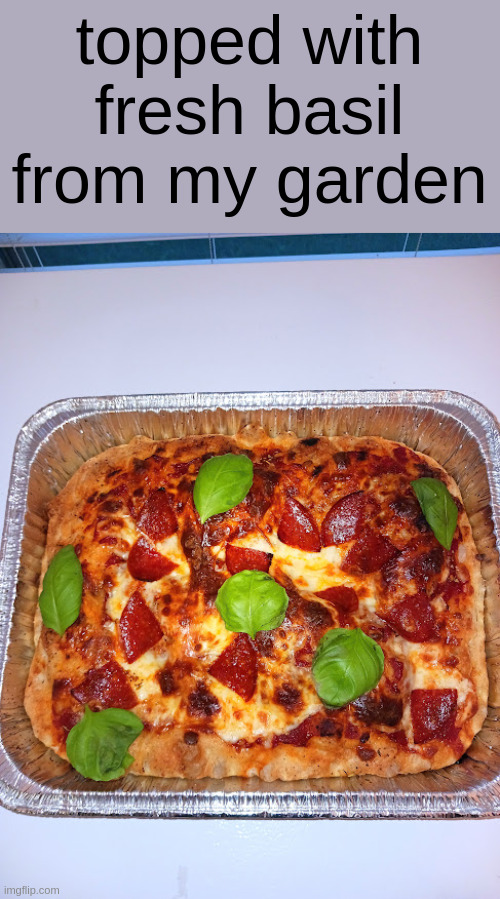 topped with fresh basil from my garden | made w/ Imgflip meme maker